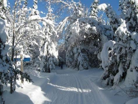 Hotel Far Hills Val-Morin Εξωτερικό φωτογραφία